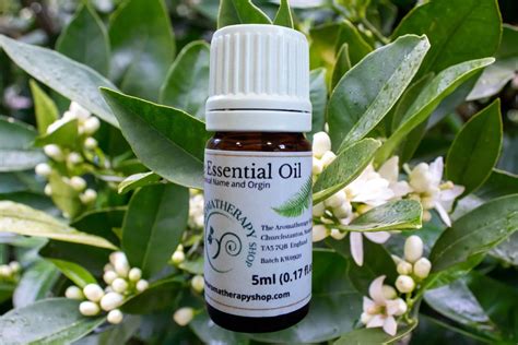 what essential oils are similar to neroli